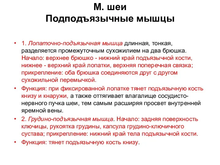 М. шеи Подподъязычные мышцы 1. Лопаточно-подъязычная мышца длинная, тонкая, разделяется