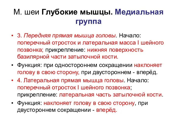 М. шеи Глубокие мышцы. Медиальная группа 3. Передняя прямая мышца