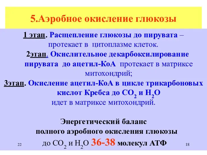 5.Аэробное окисление глюкозы 1 этап. Расщепление глюкозы до пирувата – протекает в цитоплазме