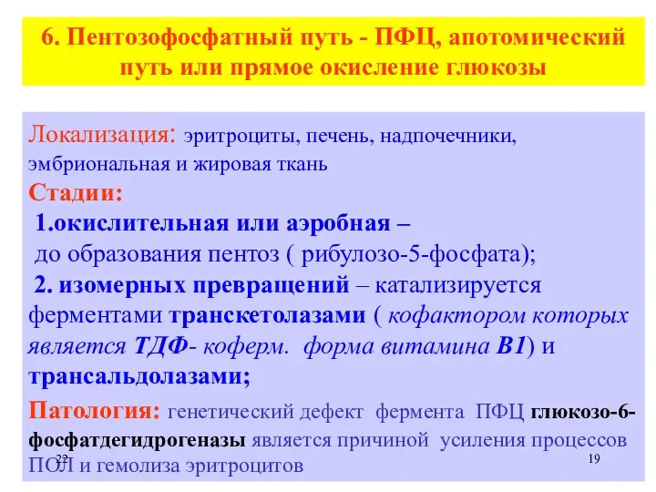 6. Пентозофосфатный путь - ПФЦ, апотомический путь или прямое окисление