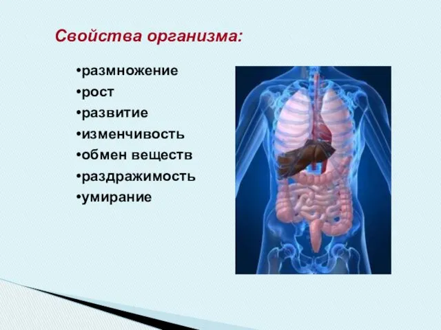 Свойства организма: размножение рост развитие изменчивость обмен веществ раздражимость умирание