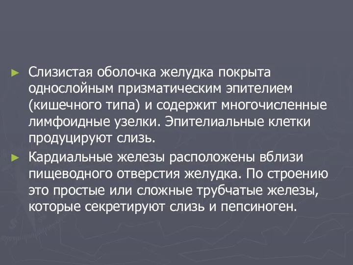 Слизистая оболочка желудка покрыта однослойным призматическим эпителием (кишечного типа) и