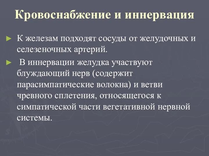 Кровоснабжение и иннервация К железам подходят сосуды от желудочных и