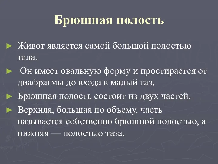 Брюшная полость Живот является самой большой полостью тела. Он имеет