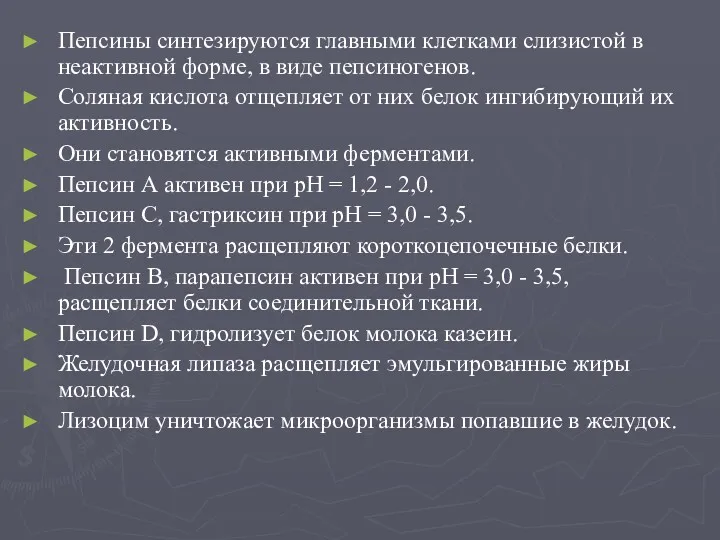 Пепсины синтезируются главными клетками слизистой в неактивной форме, в виде