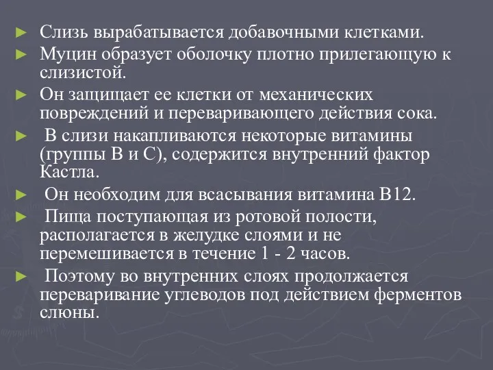 Слизь вырабатывается добавочными клетками. Муцин образует оболочку плотно прилегающую к