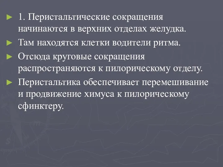 1. Перистальтические сокращения начинаются в верхних отделах желудка. Там находятся