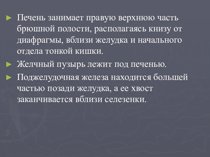 Печень занимает правую верхнюю часть брюшной полости, располагаясь книзу от