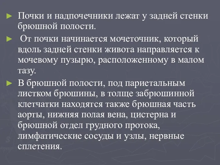 Почки и надпочечники лежат у задней стенки брюшной полости. От