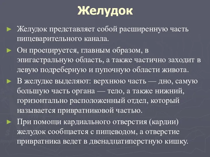 Желудок Желудок представляет собой расширенную часть пищеварительного канала. Он проецируется,