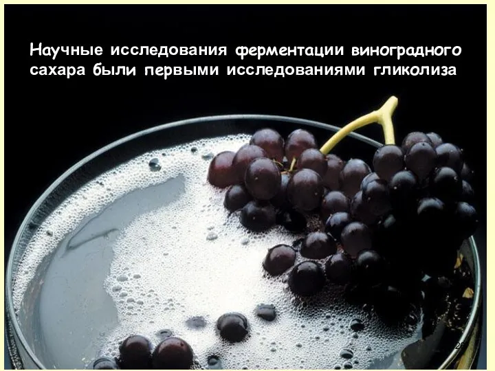 Научные исследования ферментации виноградного сахара были первыми исследованиями гликолиза
