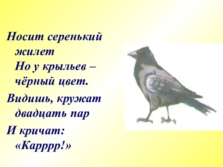 Носит серенький жилет Но у крыльев – чёрный цвет. Видишь, кружат двадцать пар И кричат: «Карррр!»