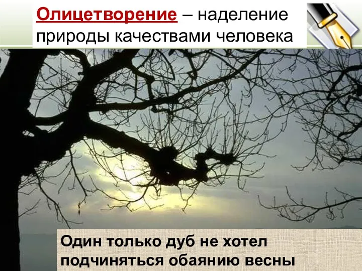 Олицетворение – наделение природы качествами человека Один только дуб не хотел подчиняться обаянию весны