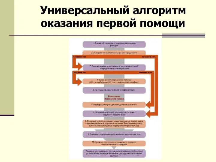 Универсальный алгоритм оказания первой помощи