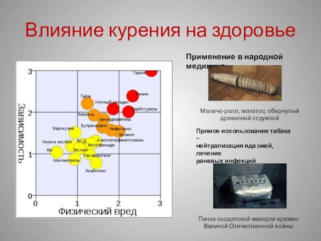 Влияние курения на здоровье Пачка солдатской махорки времен Великой Отечественной