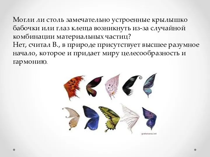 Могли ли столь замечательно устроенные крылышко бабочки или глаз клеща возникнуть из-за случайной