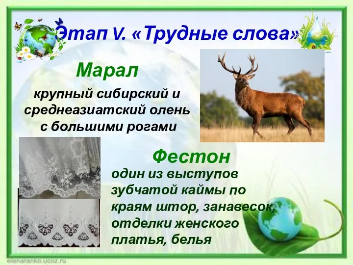 Этап V. «Трудные слова» Марал крупный сибирский и среднеазиатский олень с большими рогами