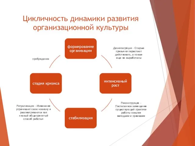 Цикличность динамики развития организационной культуры пробуждение Дезинтеграция - Старые привычки