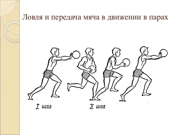 Ловля и передача мяча в движении в парах