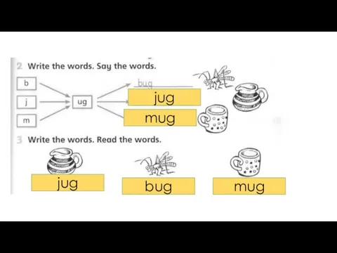 jug mug jug mug bug