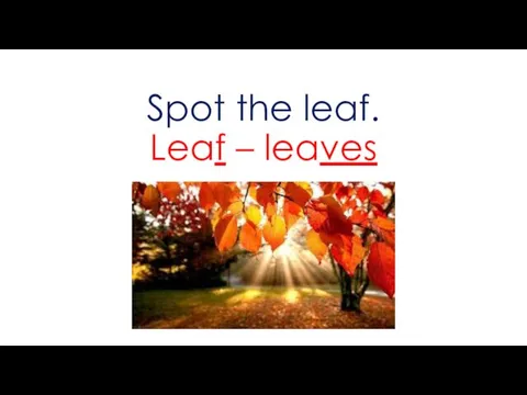 Spot the leaf. Leaf – leaves