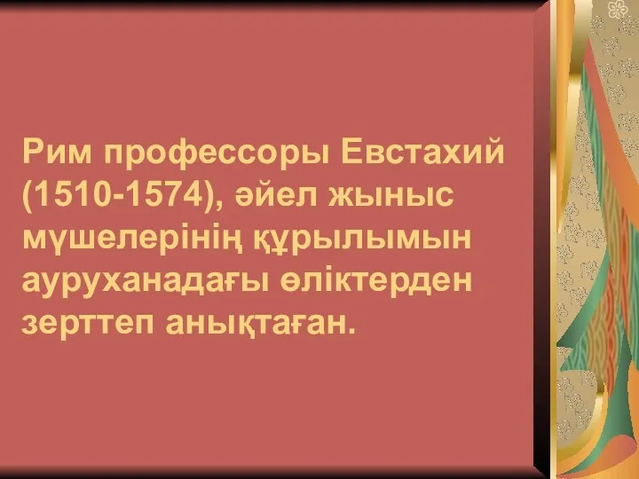 Рим профессоры Евстахий (1510-1574), әйел жыныс мүшелерінің құрылымын ауруханадағы өліктерден зерттеп анықтаған.