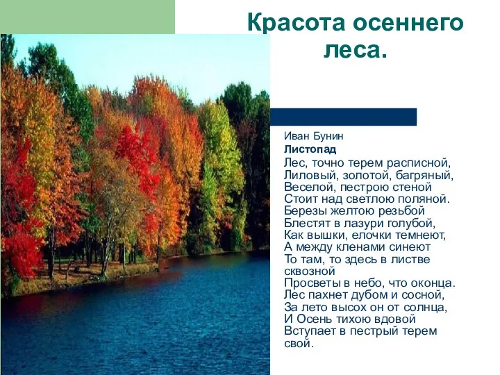 Красота осеннего леса. Иван Бунин Листопад Лес, точно терем расписной, Лиловый, золотой, багряный,