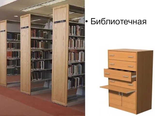 Библиотечная