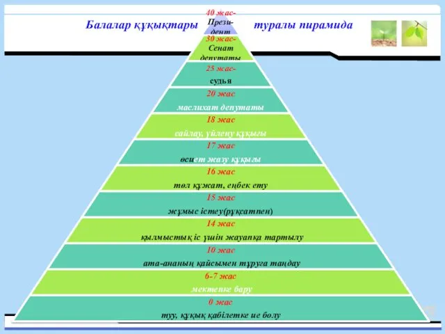 Балалар құқықтары туралы пирамида