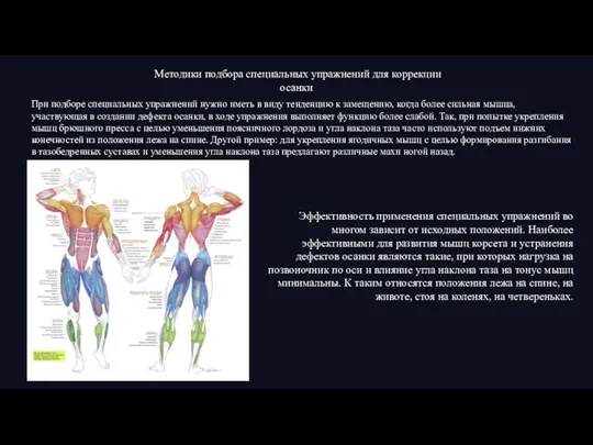 Методики подбора специальных упражнений для коррекции осанки При подборе специальных