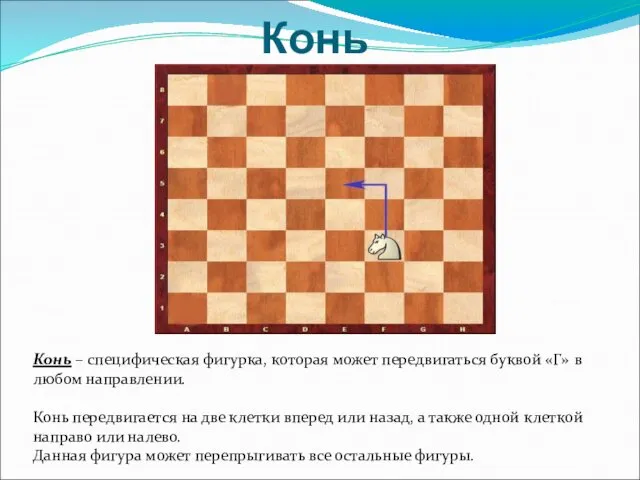 Конь Конь – специфическая фигурка, которая может передвигаться буквой «Г»