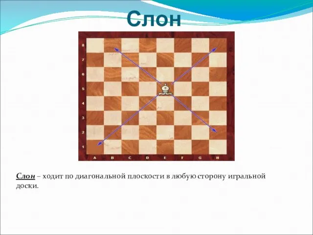 Слон Слон – ходит по диагональной плоскости в любую сторону игральной доски.