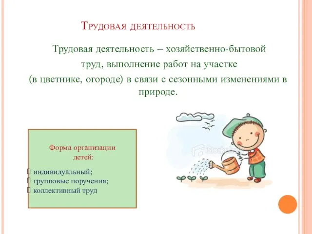 Трудовая деятельность Трудовая деятельность – хозяйственно-бытовой труд, выполнение работ на