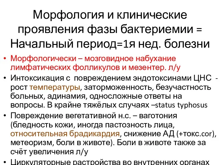 Морфология и клинические проявления фазы бактериемии = Начальный период=1я нед. болезни Морфологически –