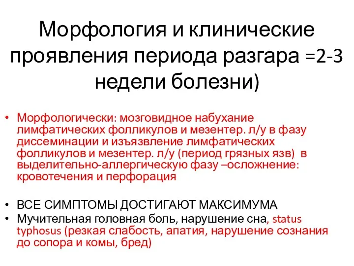 Морфология и клинические проявления периода разгара =2-3 недели болезни) Морфологически: