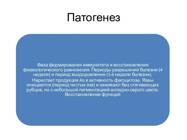 Патогенез Фаза формирования иммунитета и восстановления физиологического равновесия. Периоды разрешения