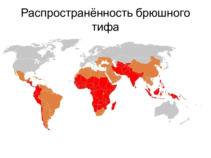 Распространённость брюшного тифа