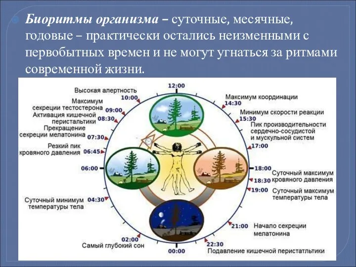 Биоритмы организма – суточные, месячные, годовые – практически остались неизменными с первобытных времен