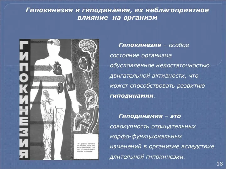 Гипокинезия и гиподинамия, их неблагоприятное влияние на организм Гипокинезия – особое состояние организма