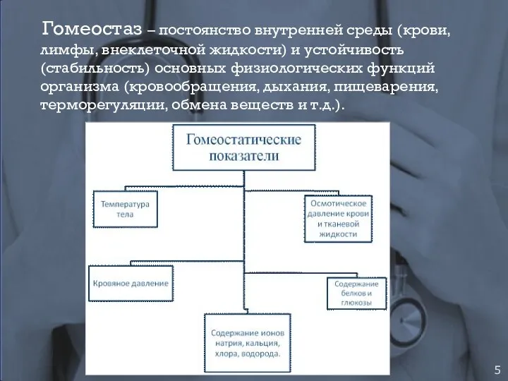 Гомеостаз – постоянство внутренней среды (крови, лимфы, внеклеточной жидкости) и