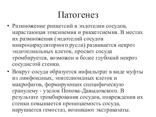 Патогенез Размножение риккетсий в эндотелии сосудов, нарастающая токсинемия и риккетсиемия.