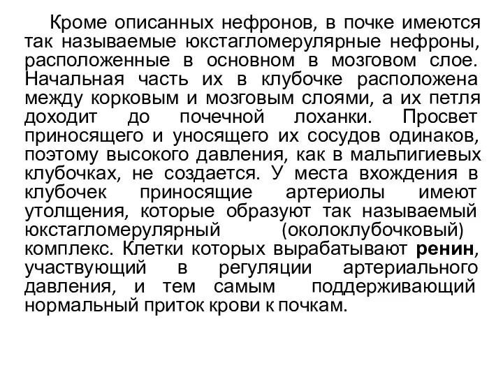 Кроме описанных нефронов, в почке имеются так называемые юкстагломерулярные нефроны,