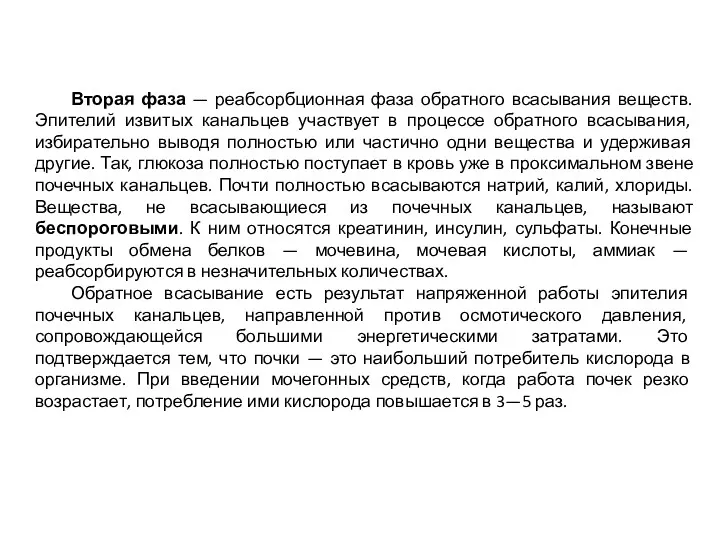 Вторая фаза — реабсорбционная фаза обратного всасывания веществ. Эпителий извитых