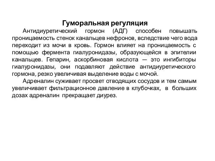 Гуморальная регуляция Антидиуретический гормон (АДГ) способен повышать проницаемость стенок канальцев