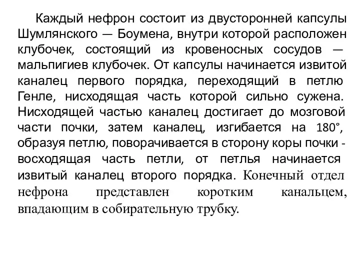 Каждый нефрон состоит из двусторонней капсулы Шумлянского — Боумена, внутри