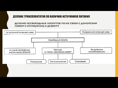 ДЕЛЕНИЕ ТРАНСПЛАНТАТОВ ПО НАЛИЧИЮ ИСТОЧНИКОВ ПИТАНИЯ ДЕЛЕНИЕ НЕСВОБОДНЫХ ЛОСКУТОВ ПО