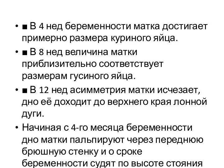 ■ В 4 нед беременности матка достигает примерно размера куриного яйца. ■ В