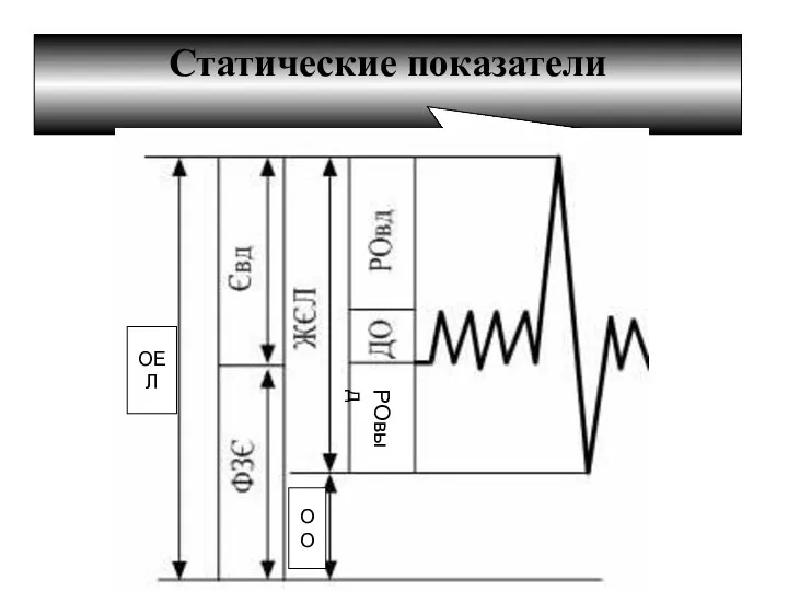 Статические показатели ОЕЛ ОО РОвыд