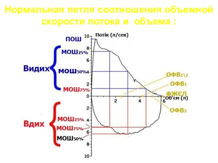 Нормальная петля соотношения объемной скорости потока и объема :