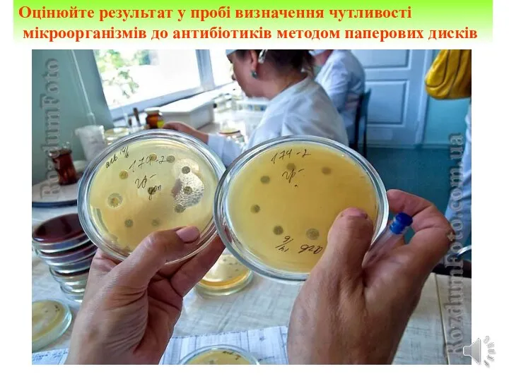 Оцінюйте результат у пробі визначення чутливості мікроорганізмів до антибіотиків методом паперових дисків